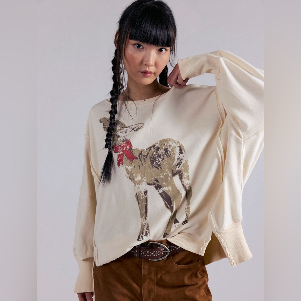Free people /We The Free Graphic Camden Pullover